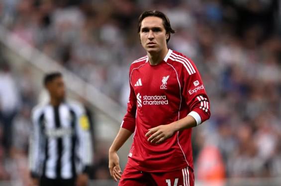 德国联邦议,院选举,联盟党领先,彩客网旧版比分,体育赛事比分,足球篮球赛事比分,赛事数据平台,体育赛事资讯