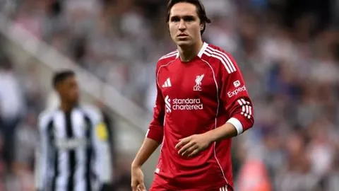 德国联邦议院选举：联盟党领先，初步结果出炉