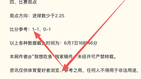 2026世界杯独家分析：加拿大主场强势，波黑阵容务实解析