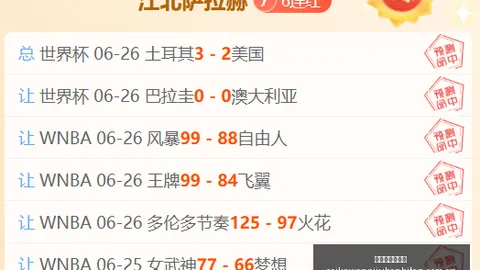 芹且鲶鱼胡志明市飞翼：深度评测分析
